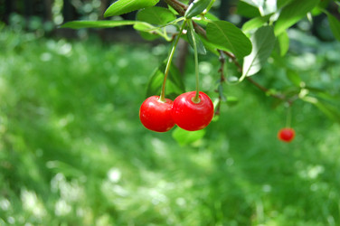 Similar image 101540