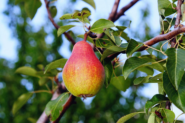 Similar image 101559