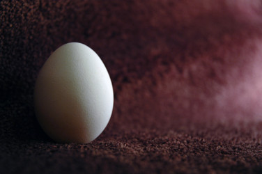 Similar image 101562