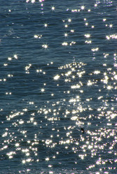 Similar image 101569