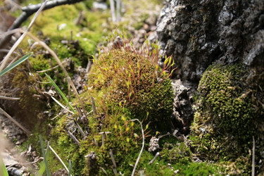 Similar image 101577