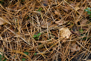 Similar image 101591