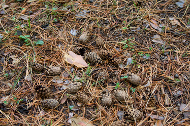 Similar image 101597