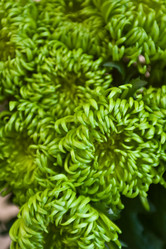 Similar image 101606