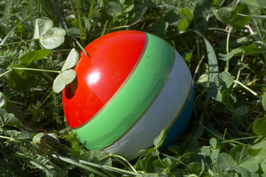 Similar image 101653