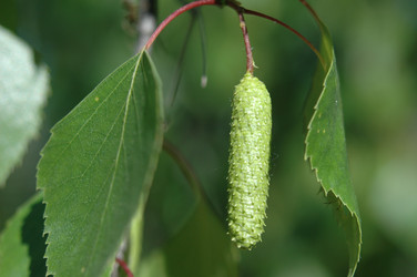 Similar image 101667