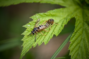 Similar image 101670