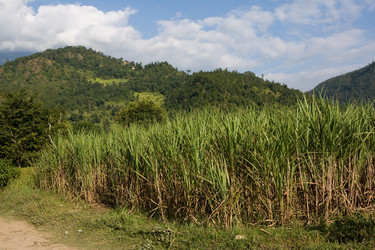 Similar image 101687