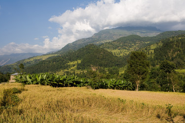 Similar image 101689