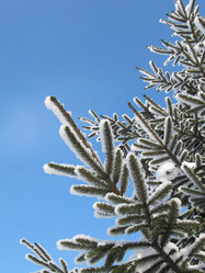 Similar image 101710