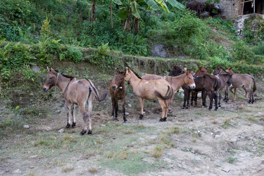 Similar image 101711