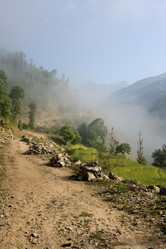 Similar image 101713