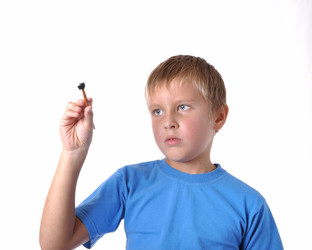 Similar image 101813