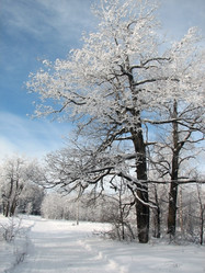 Similar image 101819