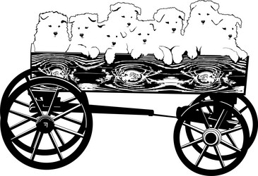 Similar image 101838