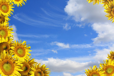 Similar image 101842