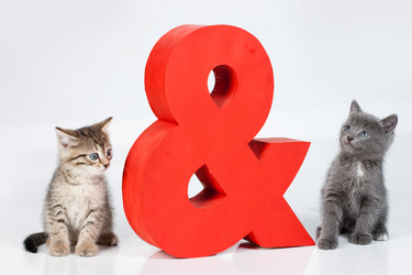 Similar image 101881