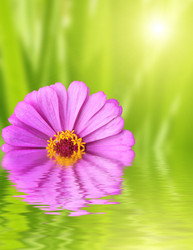 Similar image 101888