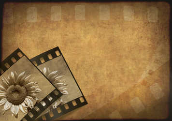 Similar image 101914