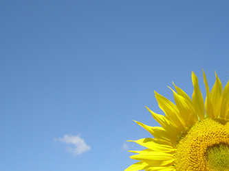 Similar image 101915