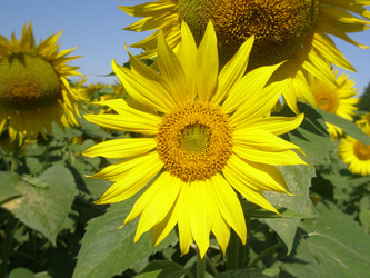 Similar image 101916