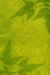 Similar image 102007