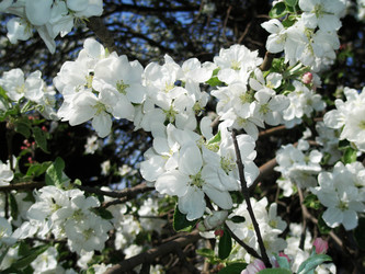 Similar image 102102