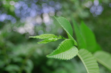 Similar image 102127