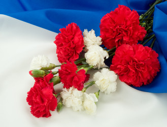 Similar image 102154