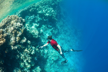 Similar image 102217