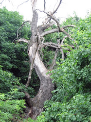 Similar image 102260