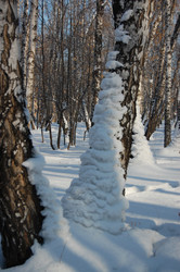 Similar image 102267