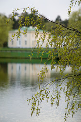 Similar image 102293