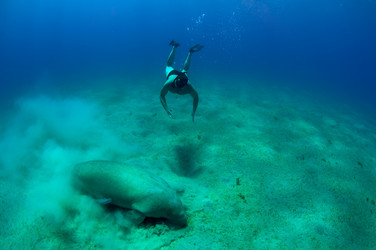 Similar image 102295