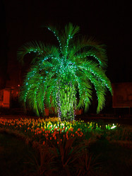 Similar image 102306