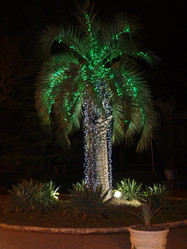 Similar image 102307