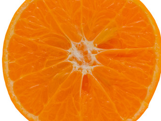 Similar image 102316