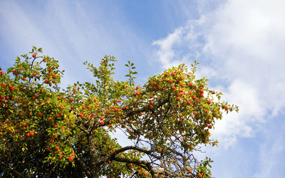 Similar image 102321