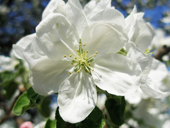 Similar image 102376