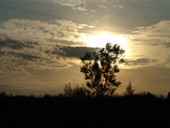 Similar image 102432