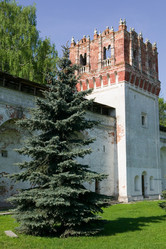 Similar image 102455