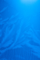 Similar image 102462