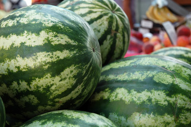 Similar image 102466