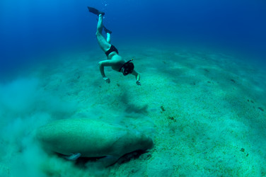 Similar image 102491