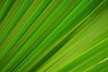 Similar image 102589