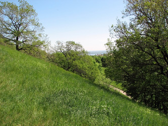 Similar image 102595