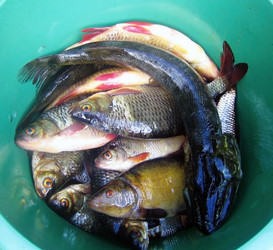 Similar image 102597