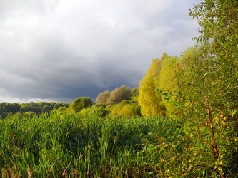 Similar image 102611