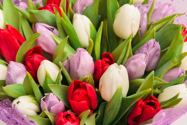 Similar image 102639