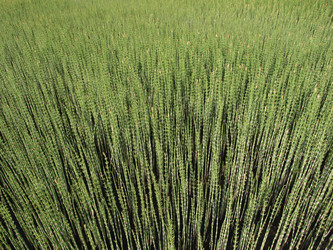 Similar image 102659